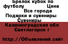 Брелок кубок по футболу Fifa 2018 › Цена ­ 399 - Все города Подарки и сувениры » Сувениры   . Калининградская обл.,Светлогорск г.